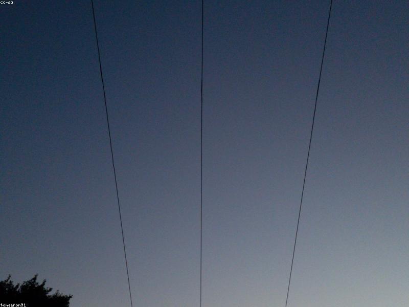 The Evolution of the Samsung Galaxy Series